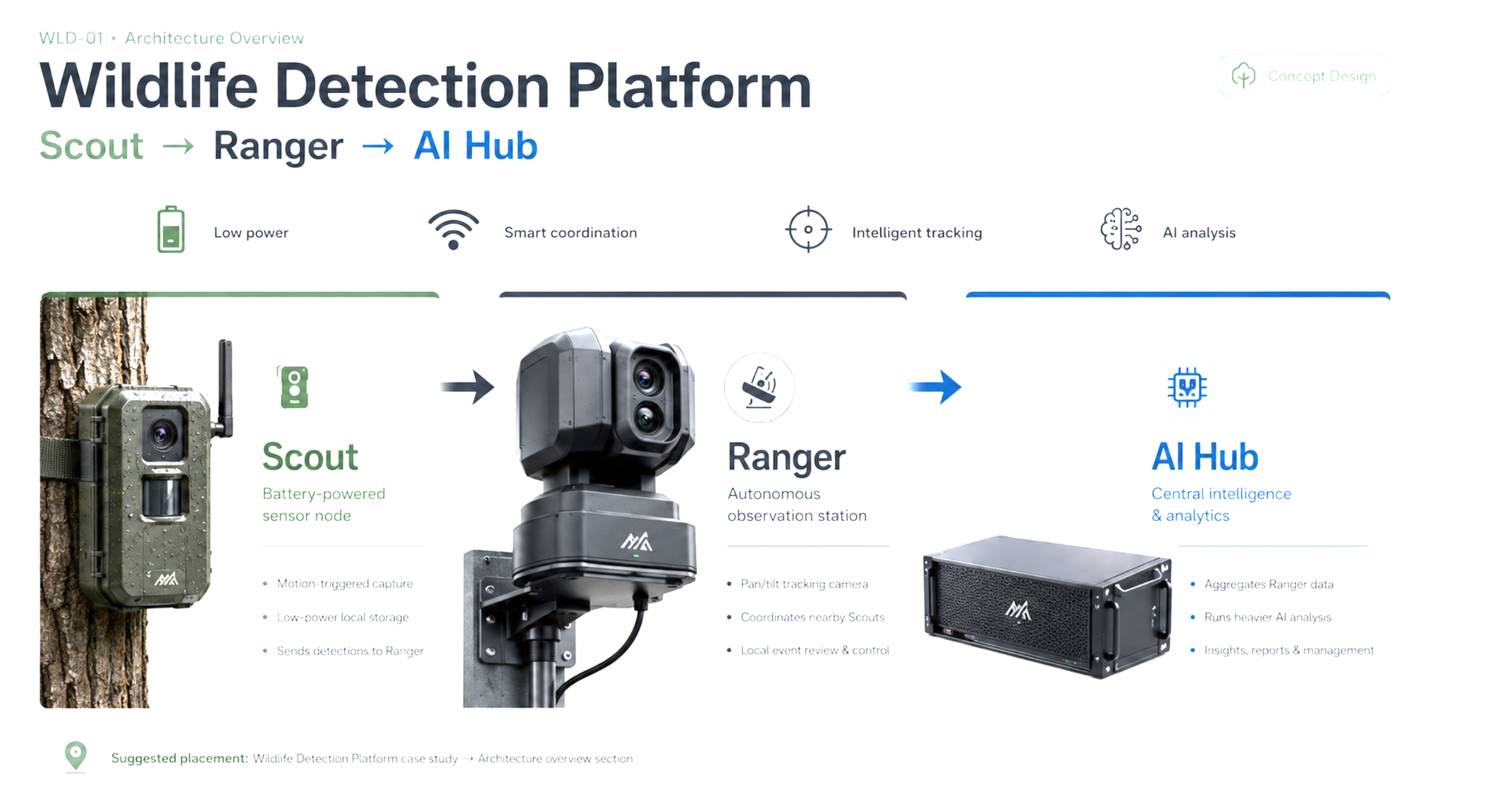 Wildlife Detection Platform architecture showing Scout sensor nodes, a movable-camera Ranger station, and the central AI Hub.